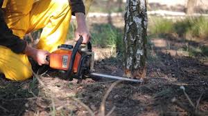 Best Soil Testing and Treatment  in Kingston, TN